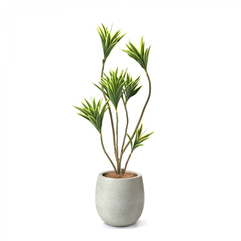フェイクグリーンの観葉植物です。