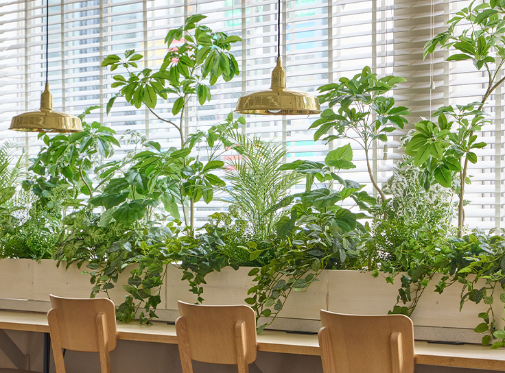 高さ60cm以下のインナーポット一覧、卓上や受付カウンター向け