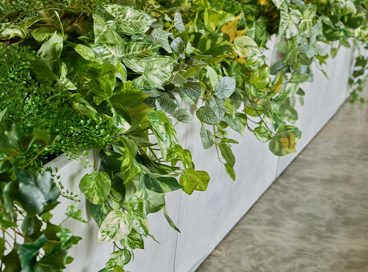 低めサイズのインナーポット一覧、卓上植栽や目隠し向け