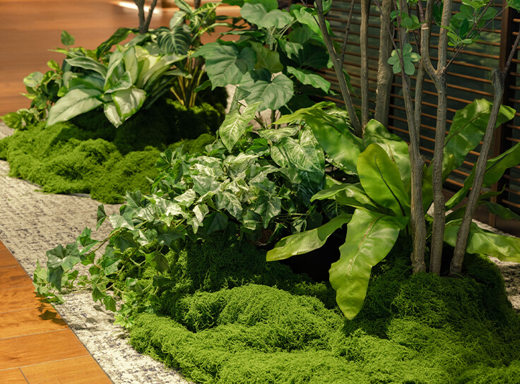下草を取り入れたシンボルツリーの植栽