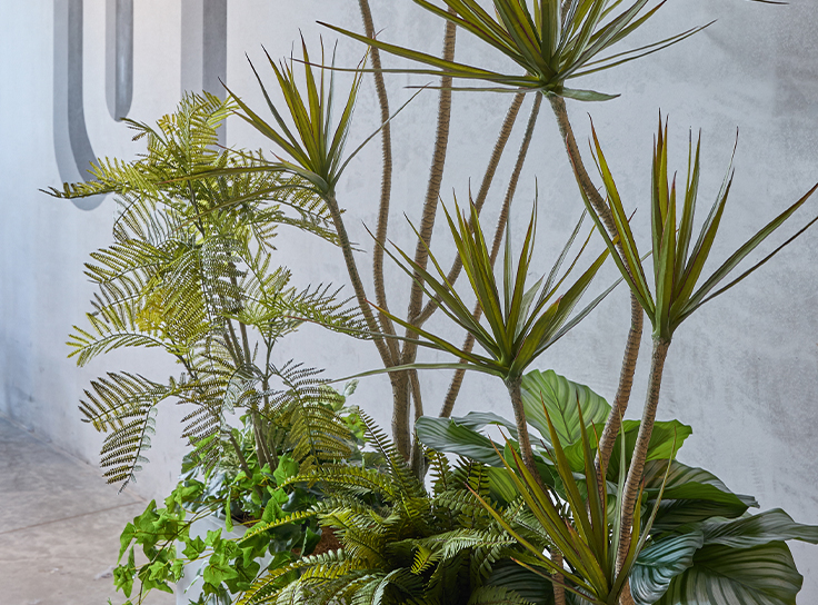 レイアウトを3層にすることで立体的で美しい植栽空間を演出できます