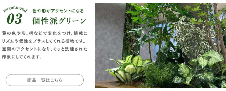 おすすめの下草 アクセント